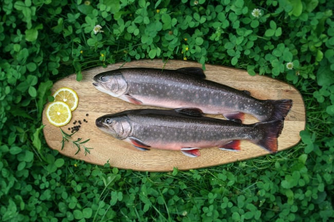 Mariazeller Alpenfisch BIO Bachsaibling im Ganzen
