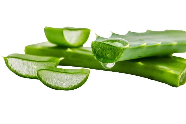 spray aloe vera After Sun Cool Down Spray main image 1