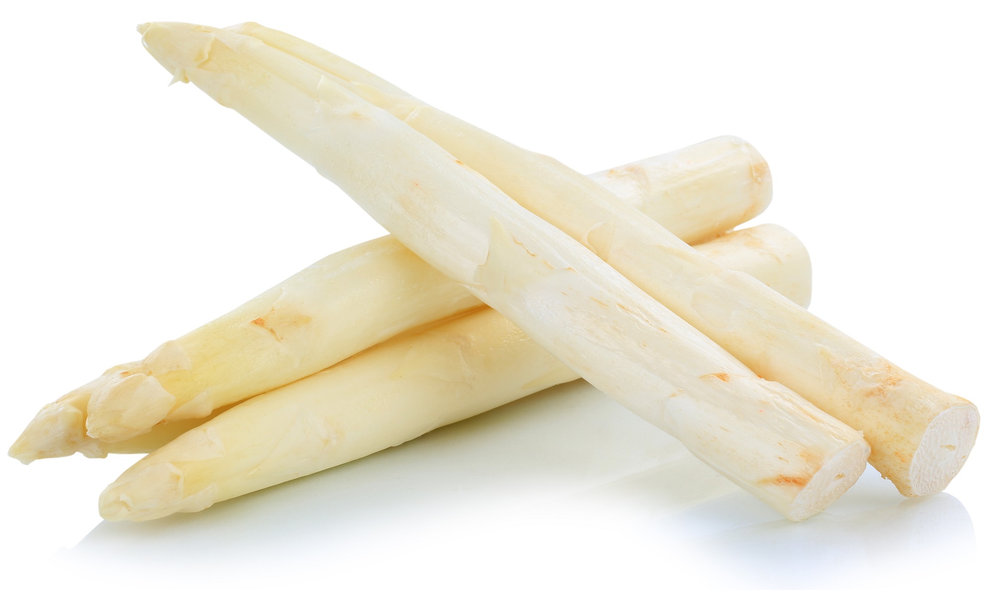 BIO Spargel - Solo, weiß