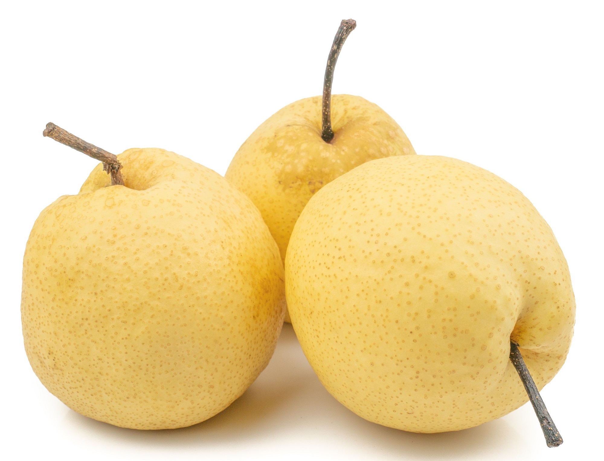 Birne Nashi