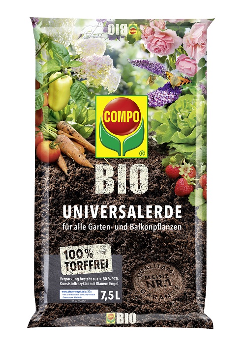 wassermelone saatgut BIO Saatgut Wassermelone Sugar Baby frühreif & süß – Biogartenladen main image 0