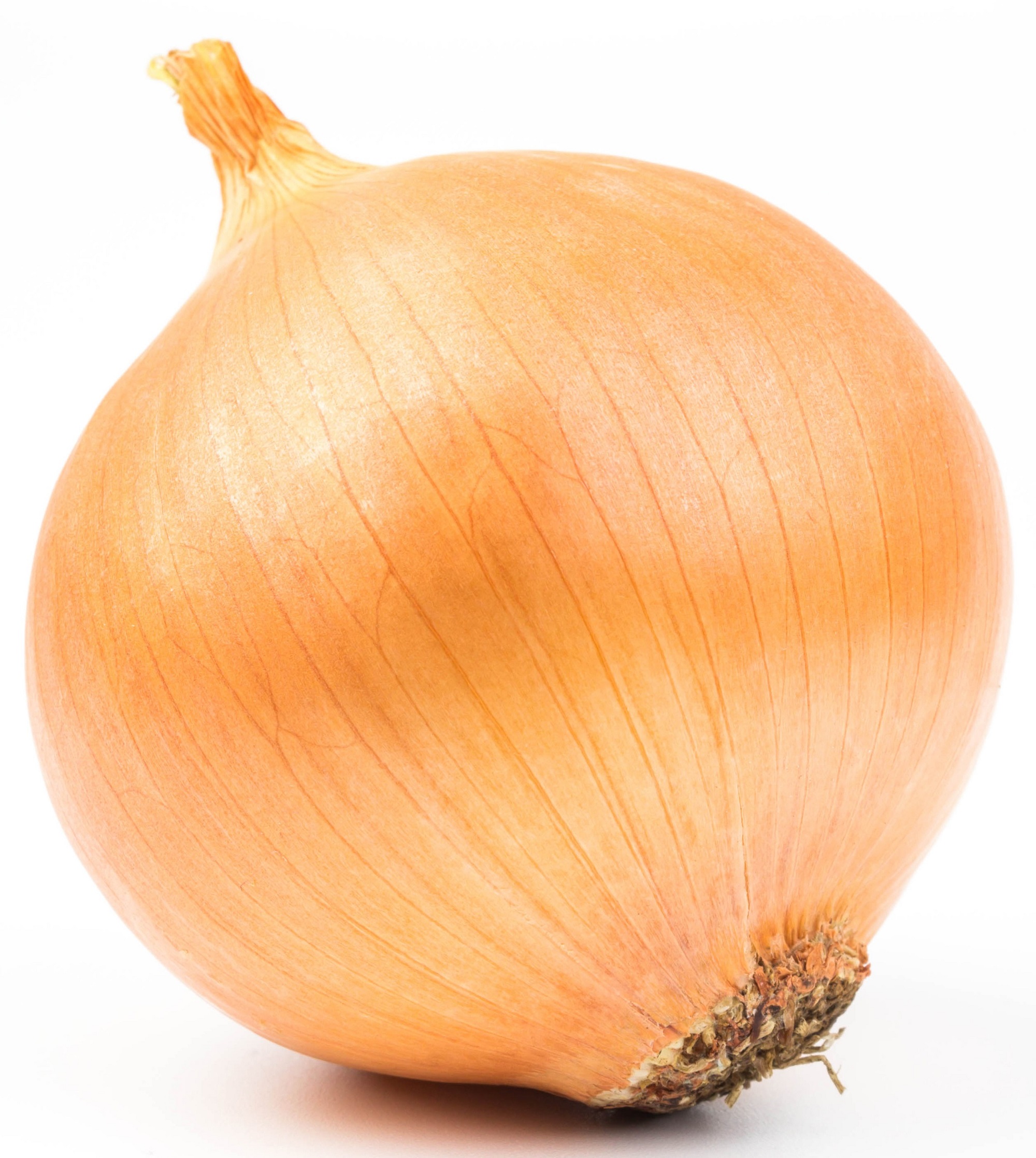 BIO Zwiebel gelb mittel bis groß im Netz