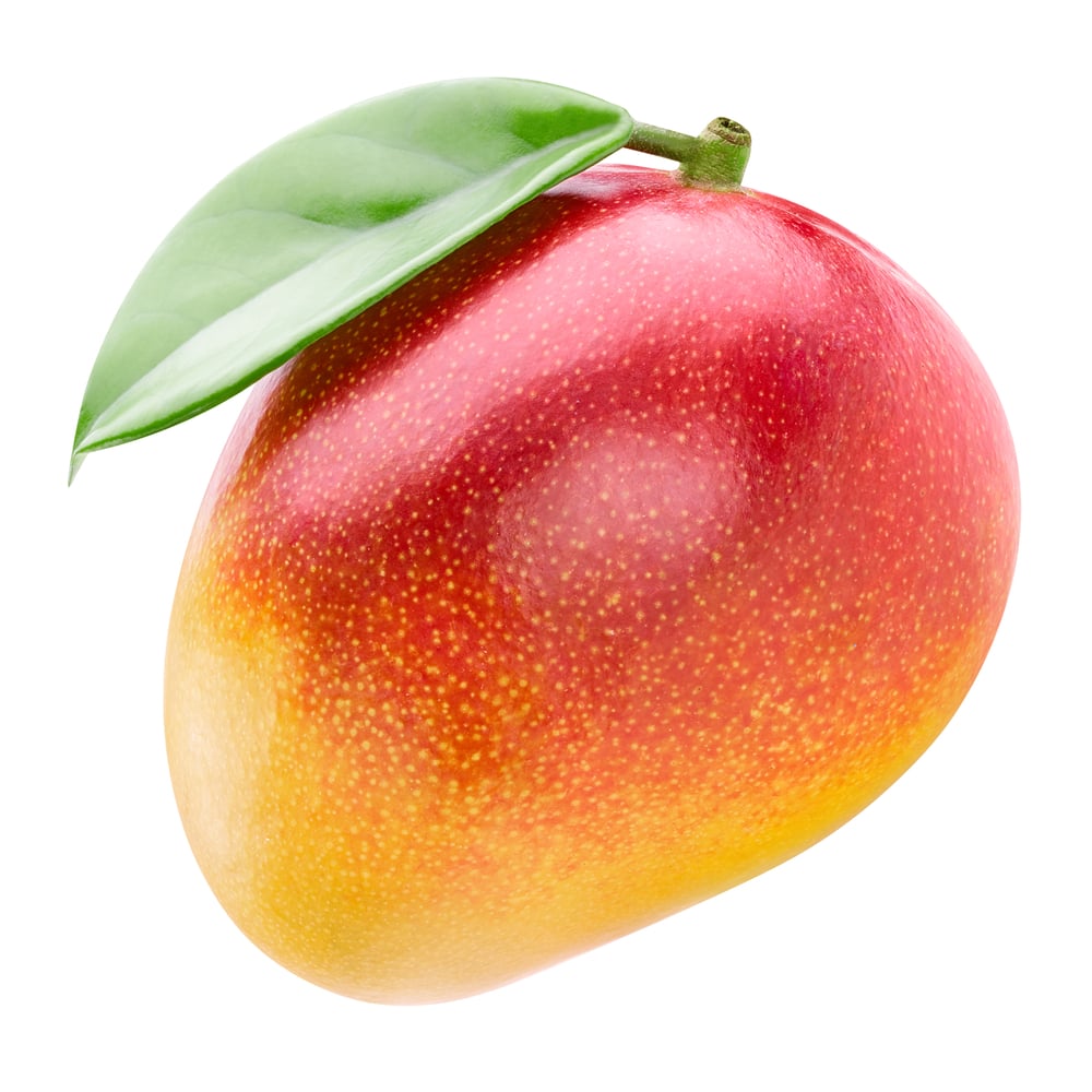 Mango Kent/Keitt, ready to eat