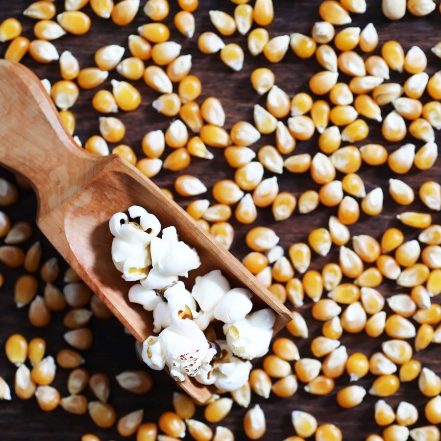 Kraftladen's BIO PopcornMais